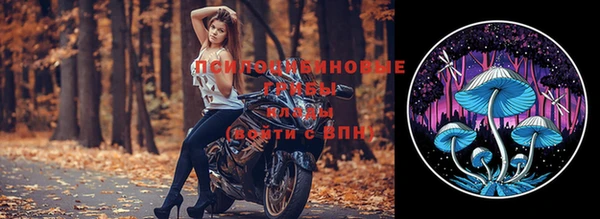 метадон Бородино