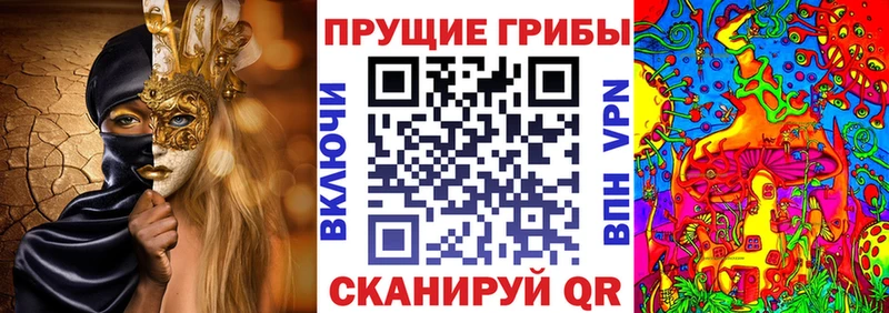 ссылка на мегу онион  Миасс  Псилоцибиновые грибы мухоморы  где купить  